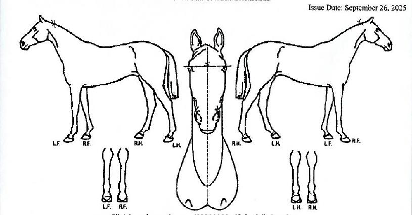 �ξƴ������� ����,���,�޸�,�λ�,�ٸ��� Ư¡����