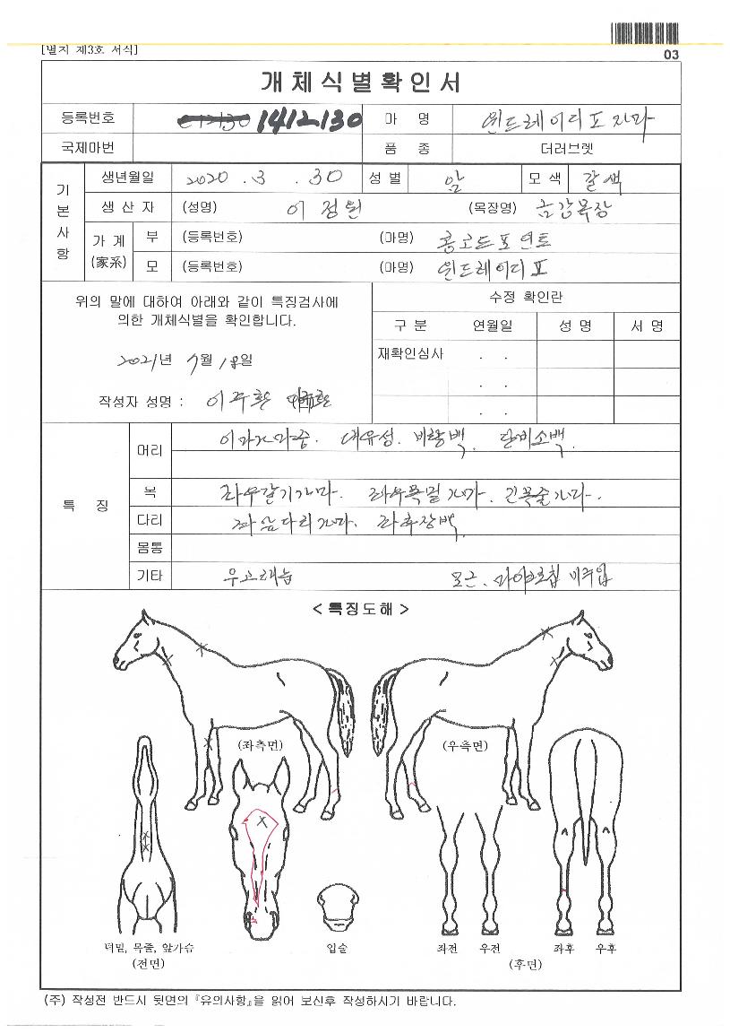 À©µå·¹À̵ð¥±ÀÚ¸¶ÀÇ Ãø¸é,¿ì¸é,µÞ¸é,µÎ»ó,´Ù¸®ÀÇ Æ¯Â¡µµÇØ