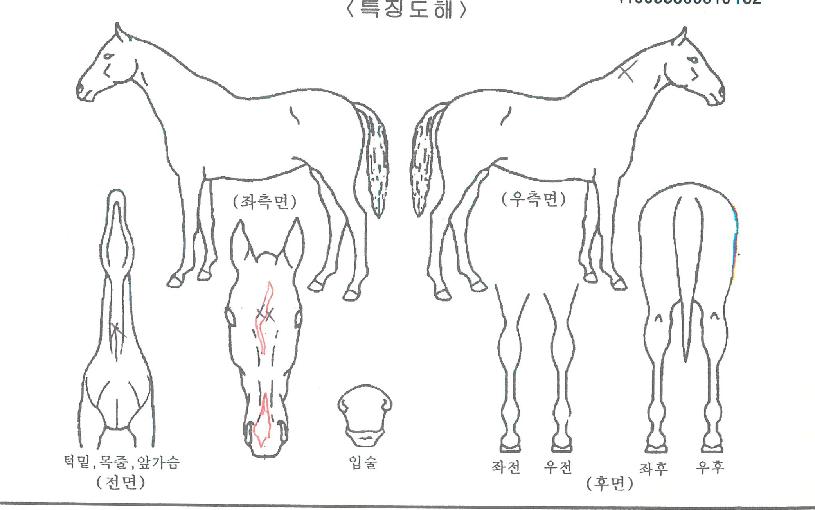 ÅÛÇÃÅ×À̼ÇÀÚ¸¶ÀÇ Ãø¸é,¿ì¸é,µÞ¸é,µÎ»ó,´Ù¸®ÀÇ Æ¯Â¡µµÇØ