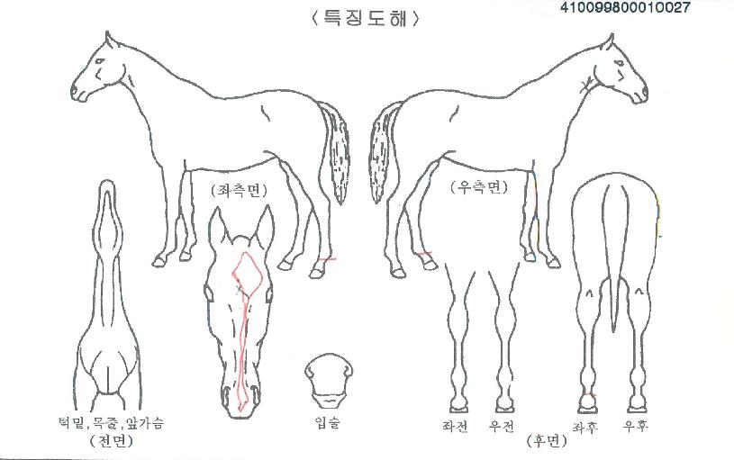 ���ѿ����ڸ��� ����,���,�޸�,�λ�,�ٸ��� Ư¡����