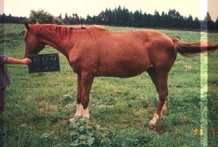 �Ķ��� ����