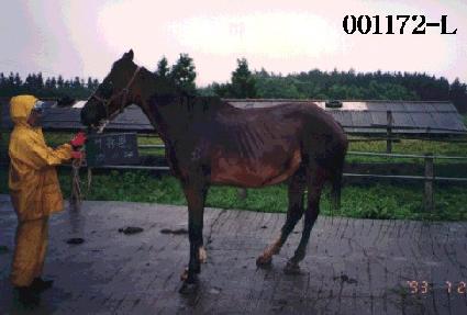 ���չ� ����