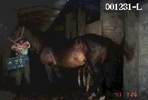 �θ��� (DU MAN GANG) ����