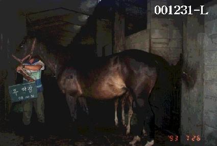 �θ��� ����