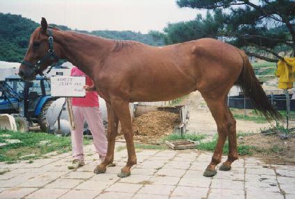 õ������ ����