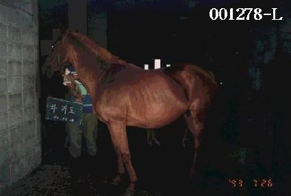 ���͵� ����