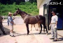 �ܿ��� (OE YEON DO) ����