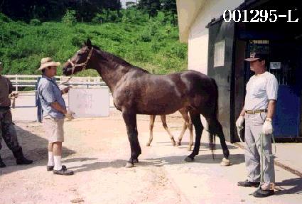 �ܿ��� ����