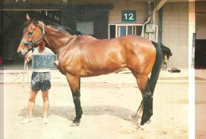 ������ ����