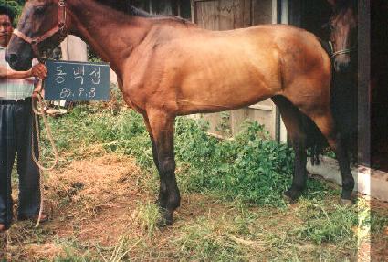 ���鼶 ����