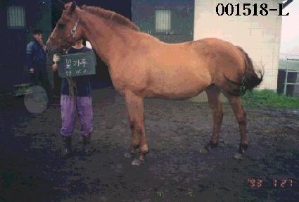 �ɰ��� ����