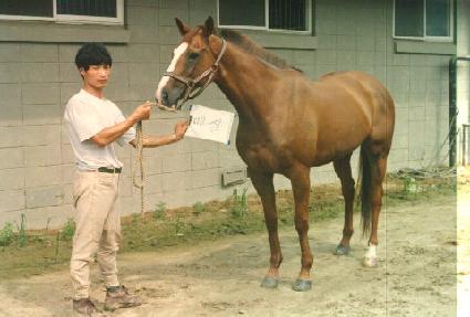 �Ž� ����