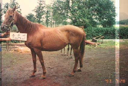 �ΰ߻� ����