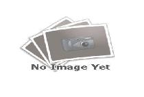 LADY ROSSMORE picture