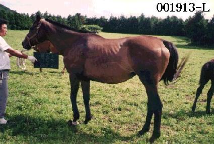 ����ȫ ����