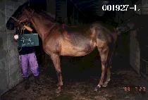 ���� (SU GOOK) ����