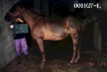 ���� ����