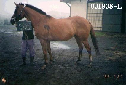 ��յ��� ����