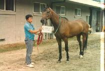 ����ȣ (SU SEOK HO) ����