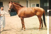 ����ȣ (MANSEHO) ����