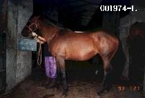 �ֿ (JU WOON SEOK) ����