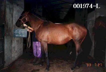 �ֿ ����