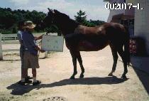 ��� (WU BAE) ����