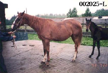 ��â�� ����