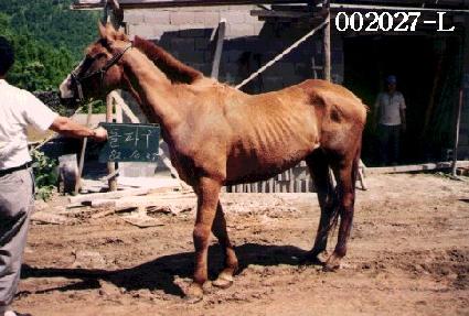 ���ı� ����