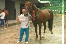 ����ȣ (DEOK RIM HO) ����