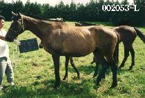 �븲�� (DAE RIM SA) ����