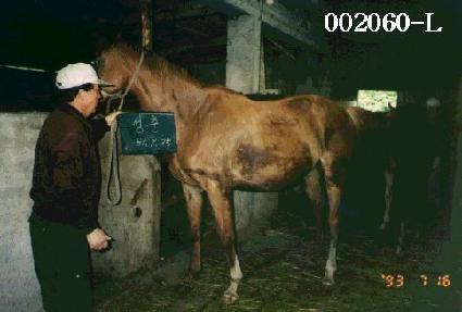 ���� ����