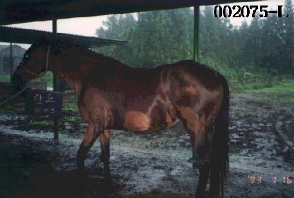 ź�� ����