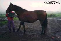 �¿�ȣ (SEUNG WOON HO) ����