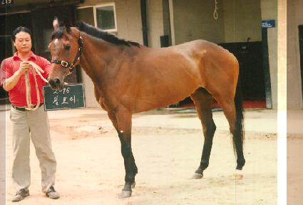 ������ ����