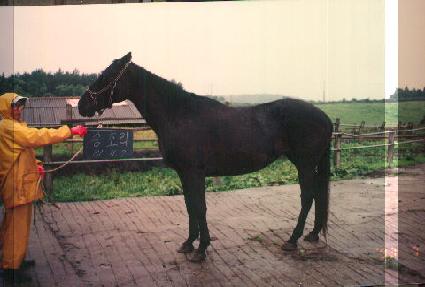 ��ȣ�� ����