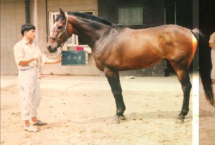 ��ٸ� ����