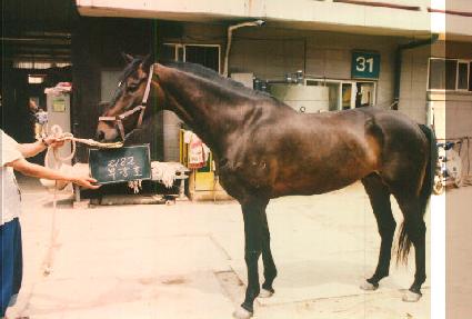 �ΰ�ȣ ����