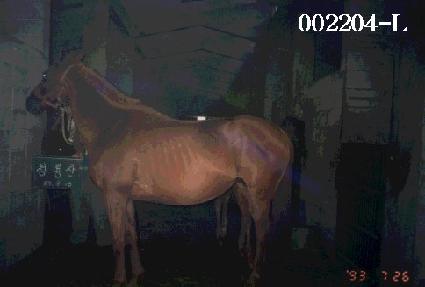 û��� ����