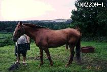 �����屺 (OHSONGJANGKUN) ����