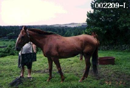 �����屺 ����