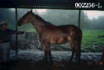 û�� (CHEONG SONG) ����