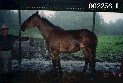 û�� ����