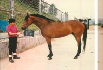 �Ҹ� (BUL MYOUL) ����