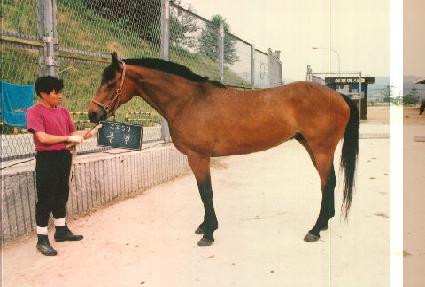 �Ҹ� ����