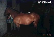 ���屺 (YEO JANG GOON) ����