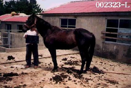 �ּ� ����