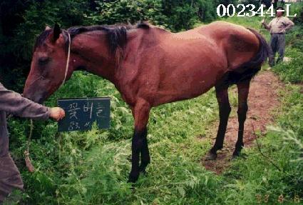 �ɹ��� ����