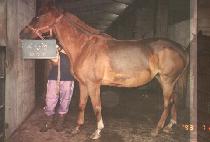 ����ö (JI NAM CHEOL) ����