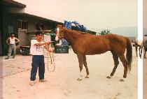 ����ȣ (BOKBYONGHO) ����